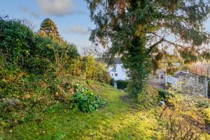 Garden- click for photo gallery